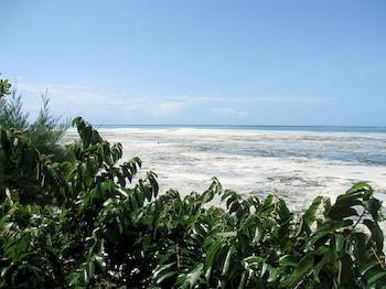 Zanzibar Rock Resort Pongwe Εξωτερικό φωτογραφία